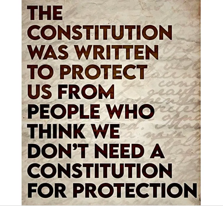 Constitution purpose